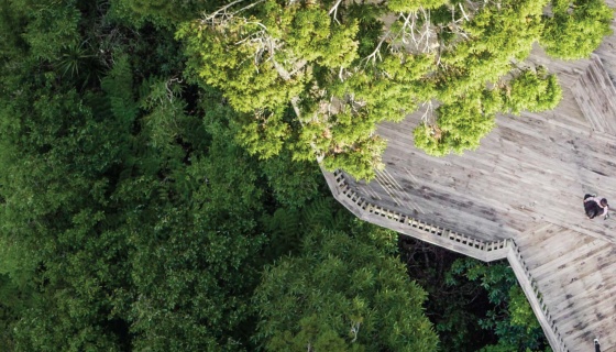 Climate Change and Sustainability Insights Report Cover