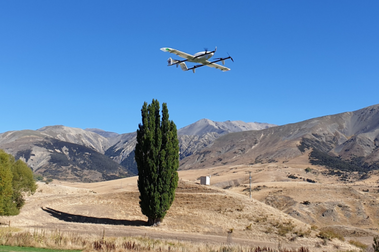 Swoop Kite in flight