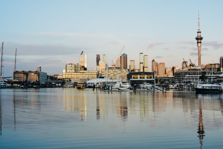 Auckland city from Westhaven